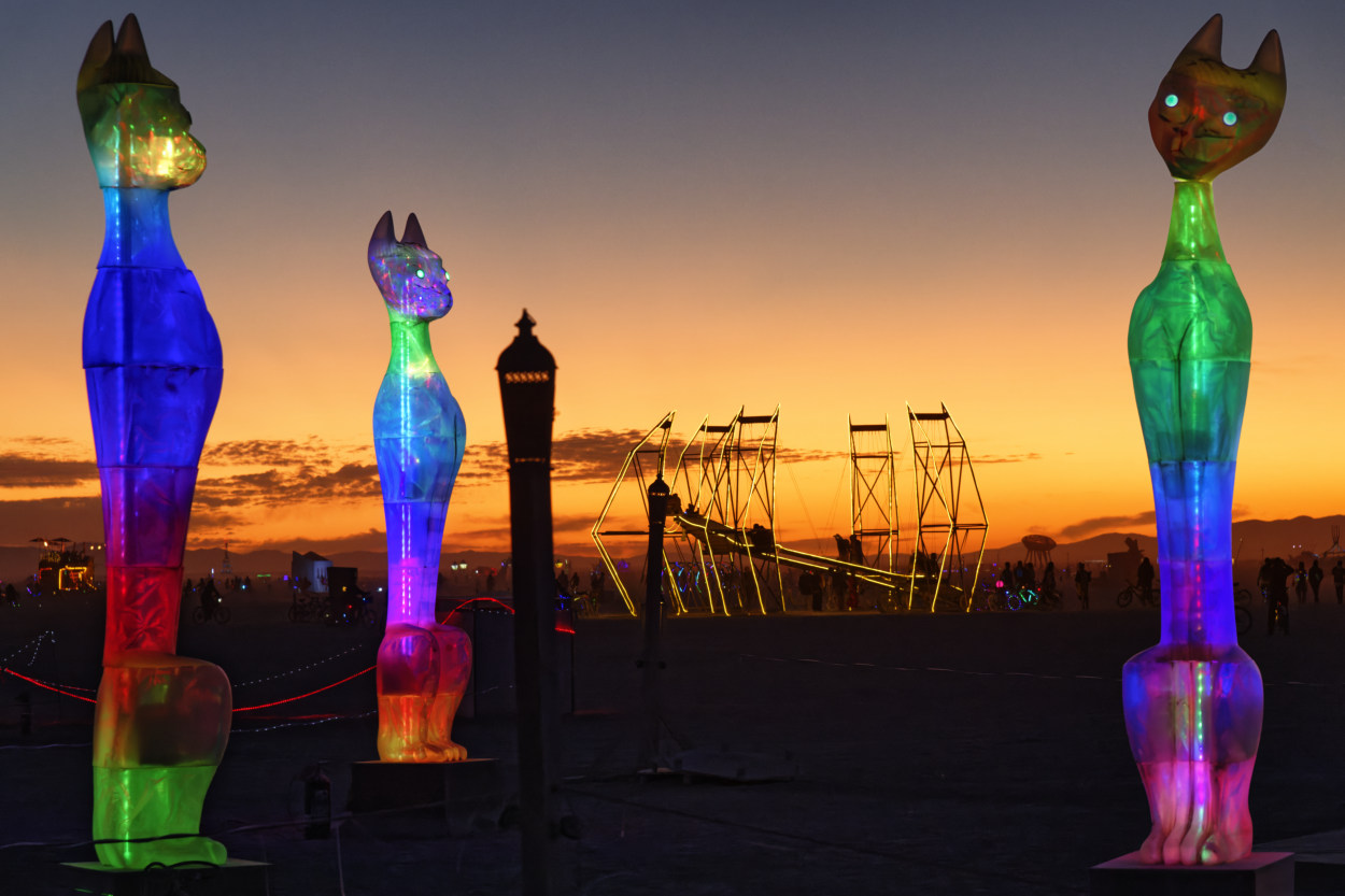 Burning Man 2019   1303